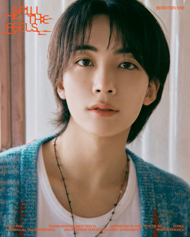 Jeonghan Seventeen